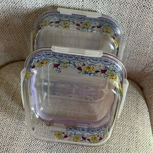 Set of 2 Floral Glass Food Storage Containers